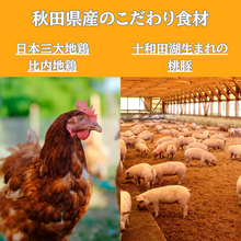 レンジで簡単！とろける桃豚の絶品角煮！スープカレーガネーシャ特製「比内地鶏仕込み 桃豚角煮スープカレー」１食分