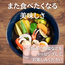 レンジで簡単！海の幸4種の旨味！スープカレーガネーシャ特製 比内地鶏仕込み シーフードスープカレー